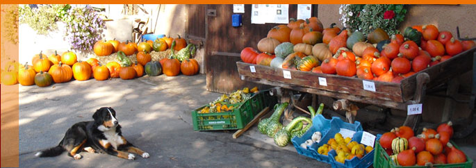 Obst & Weinbau Familie Müller und Reutter