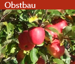 Obstbau